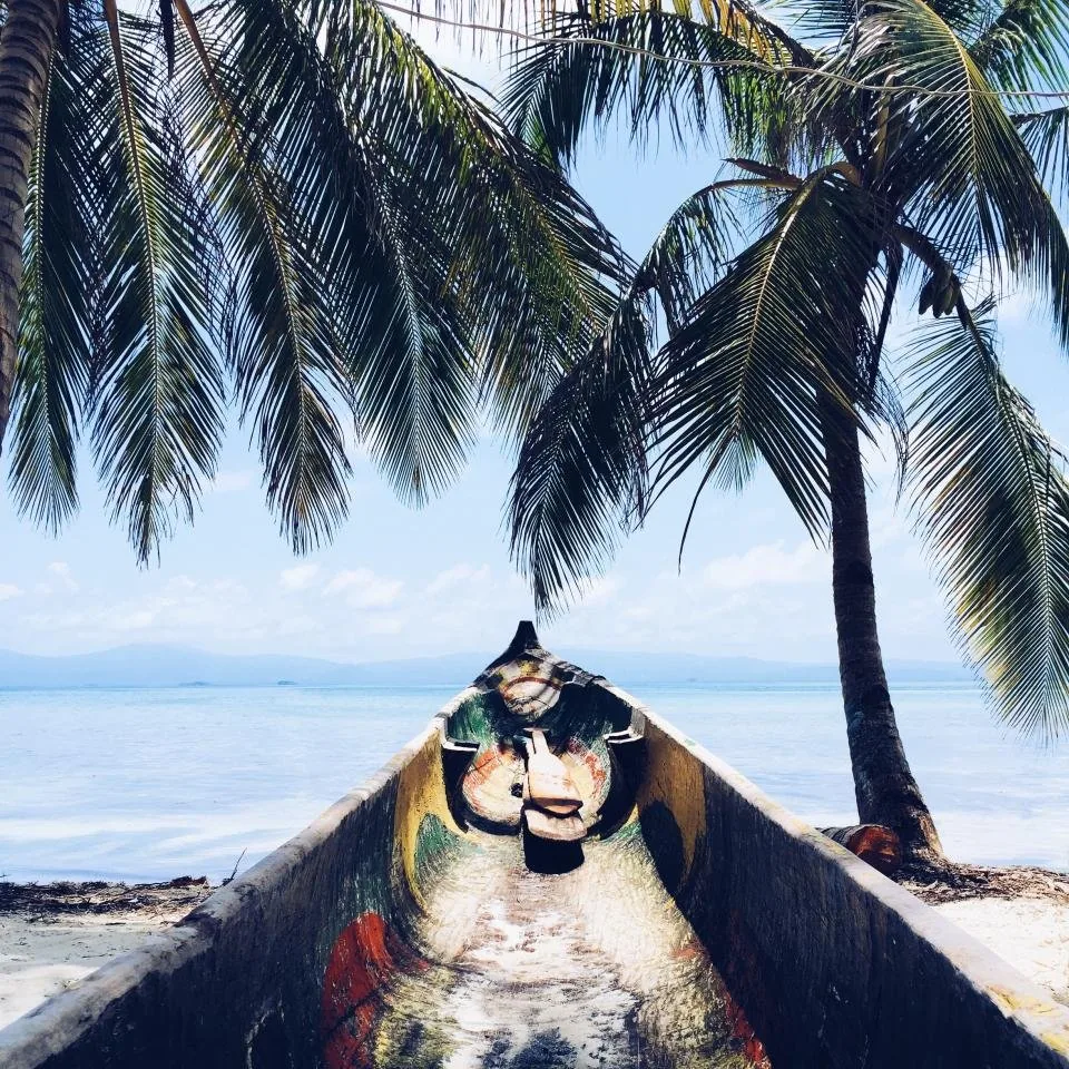 Palm shoreline